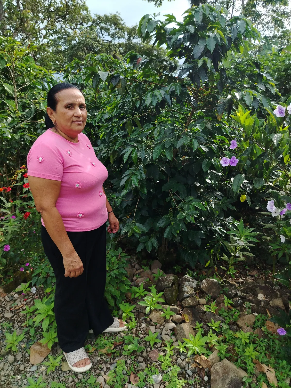 Marilu del Rosario