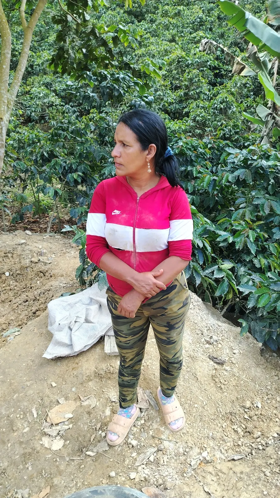 Celina Mujica