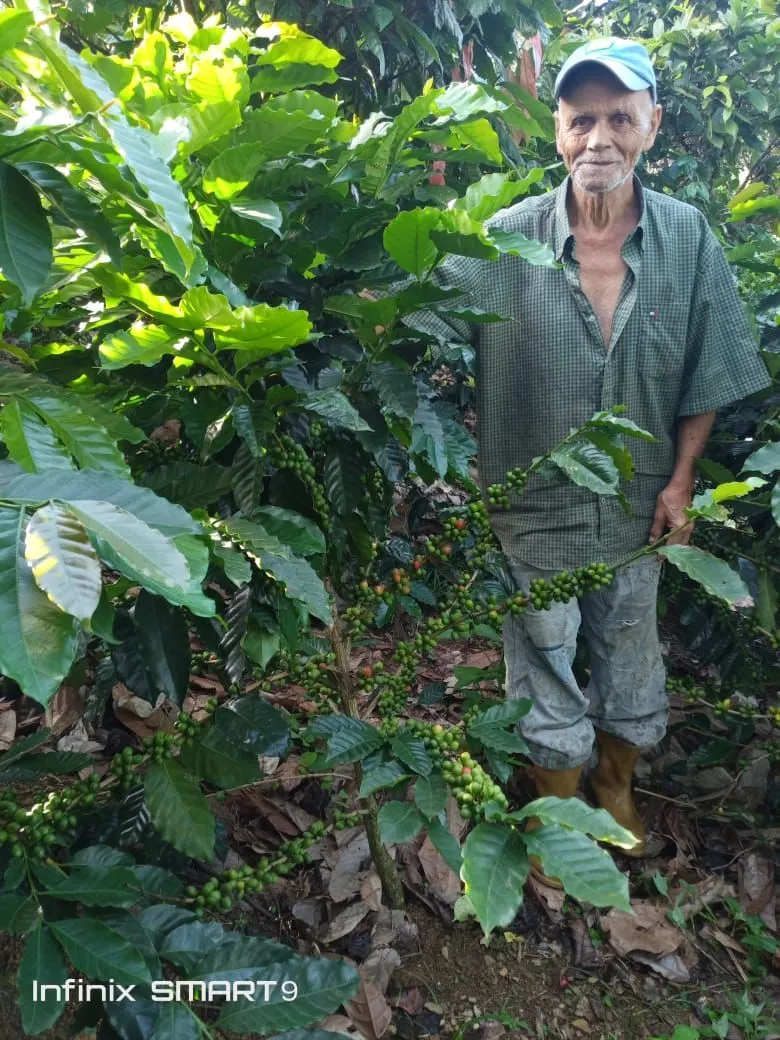 Rafael Luna