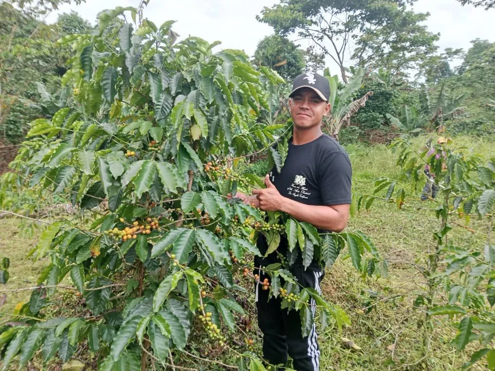 José Alexander Sarabia