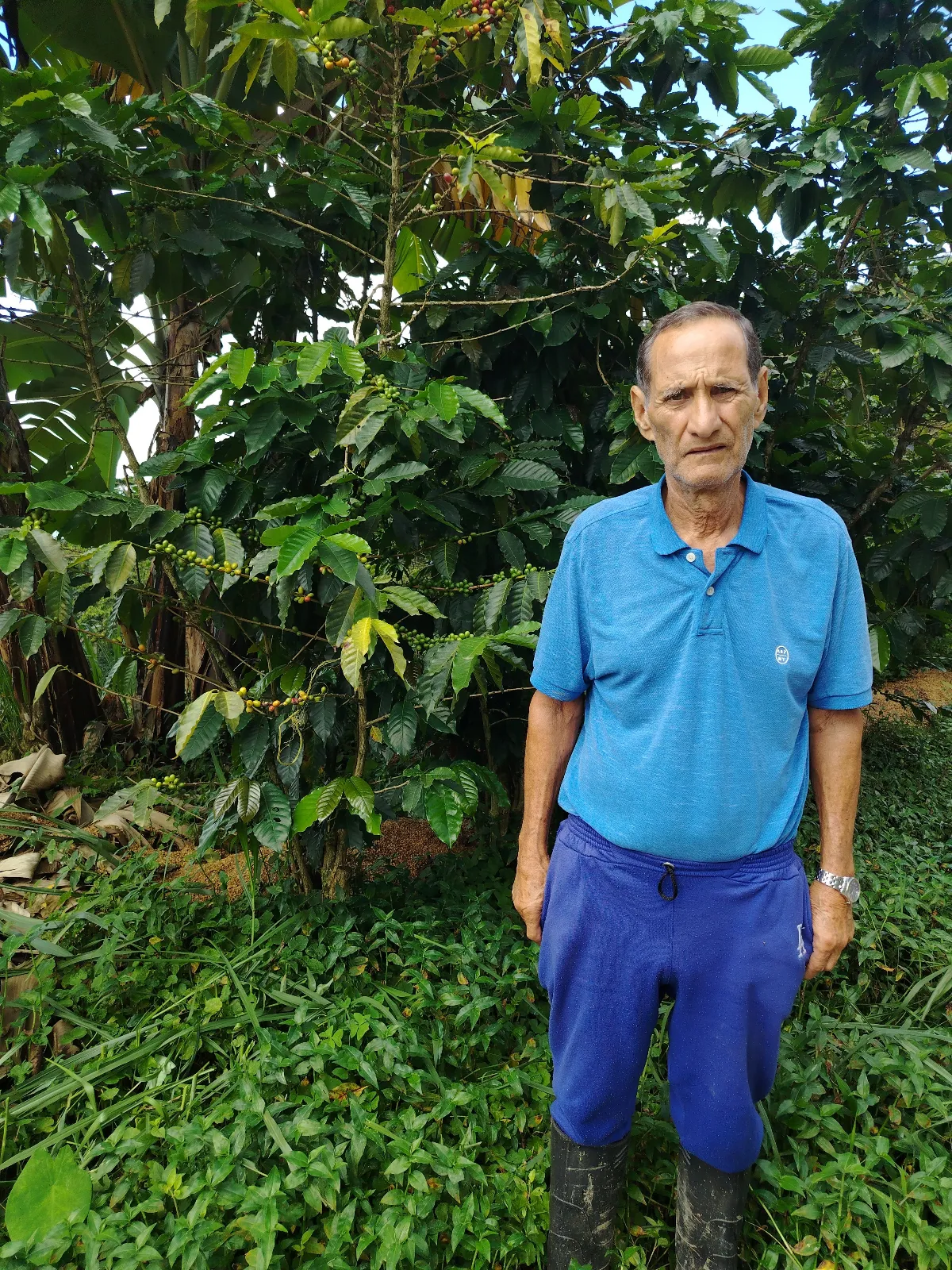 Diogenes lacruz rosales