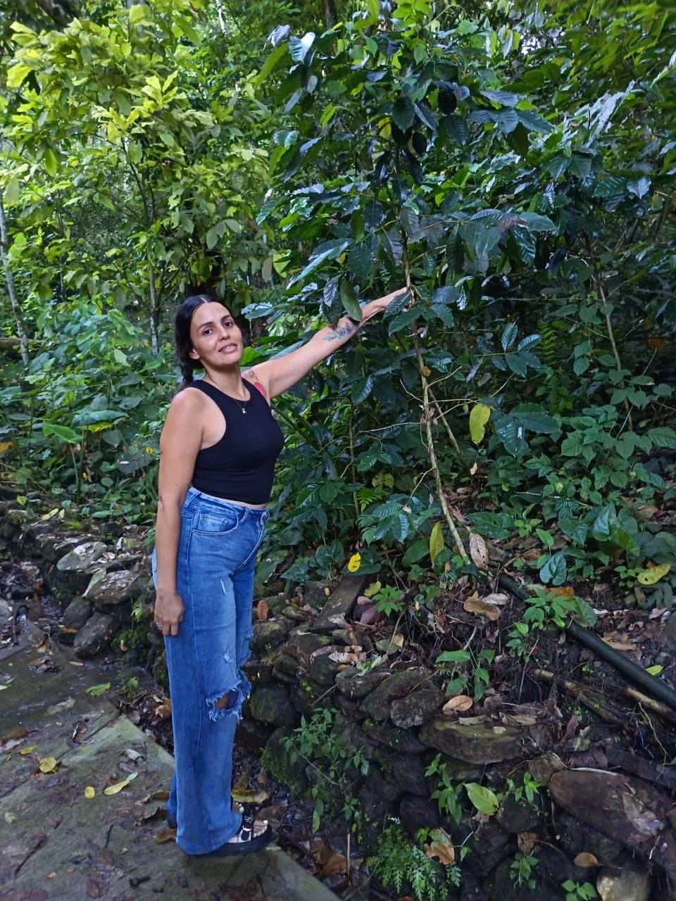 Katty Lisena