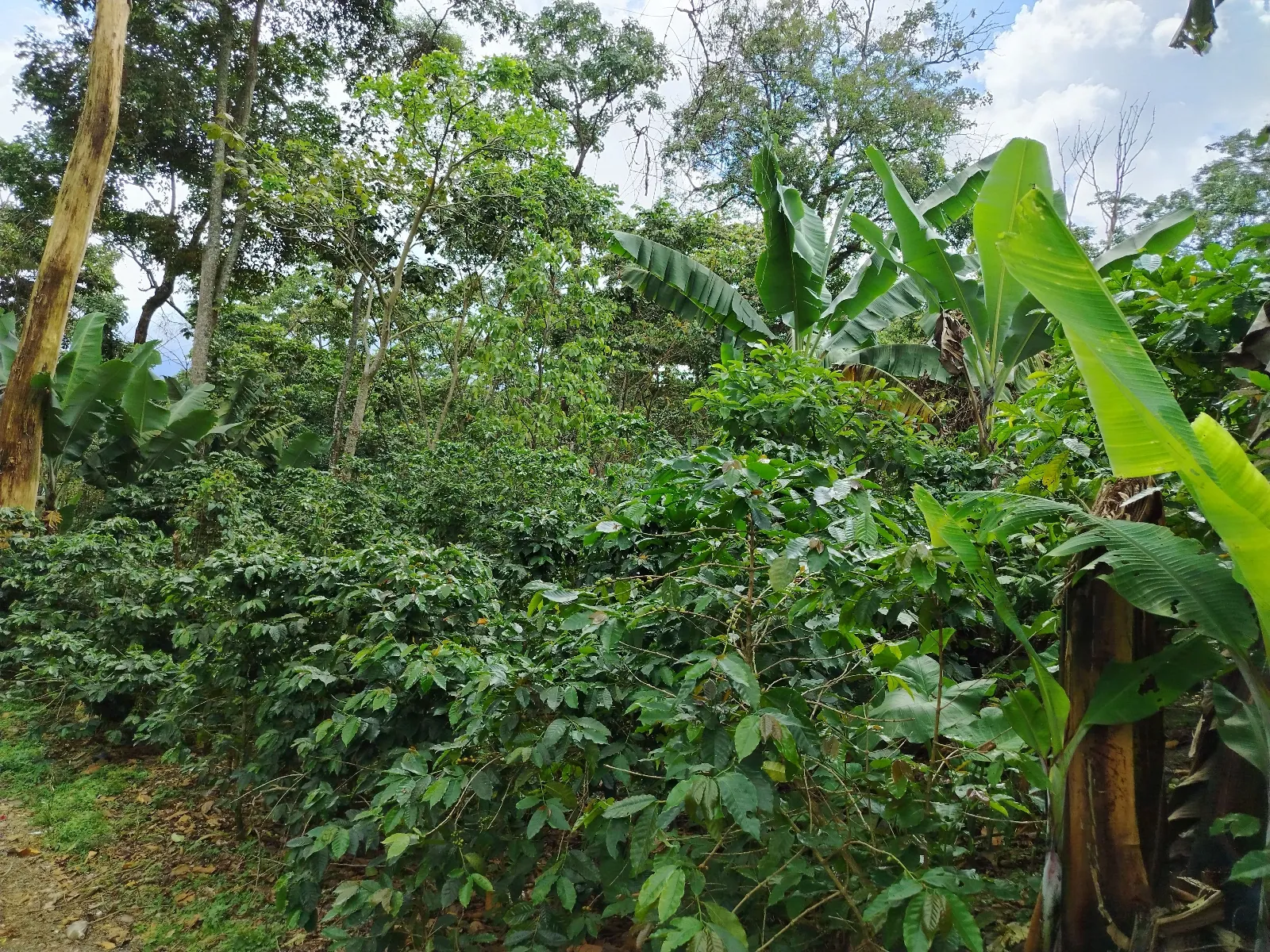 El esfuerzo