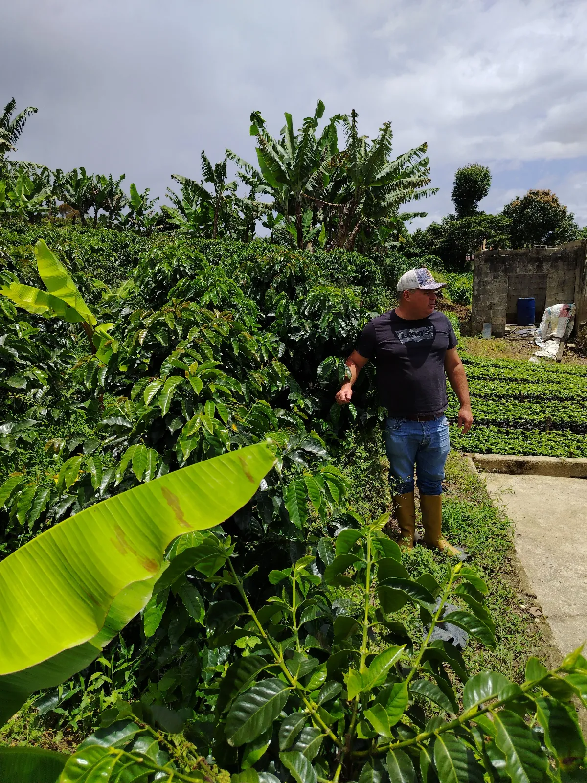 Arnaldo Javier hidalgo