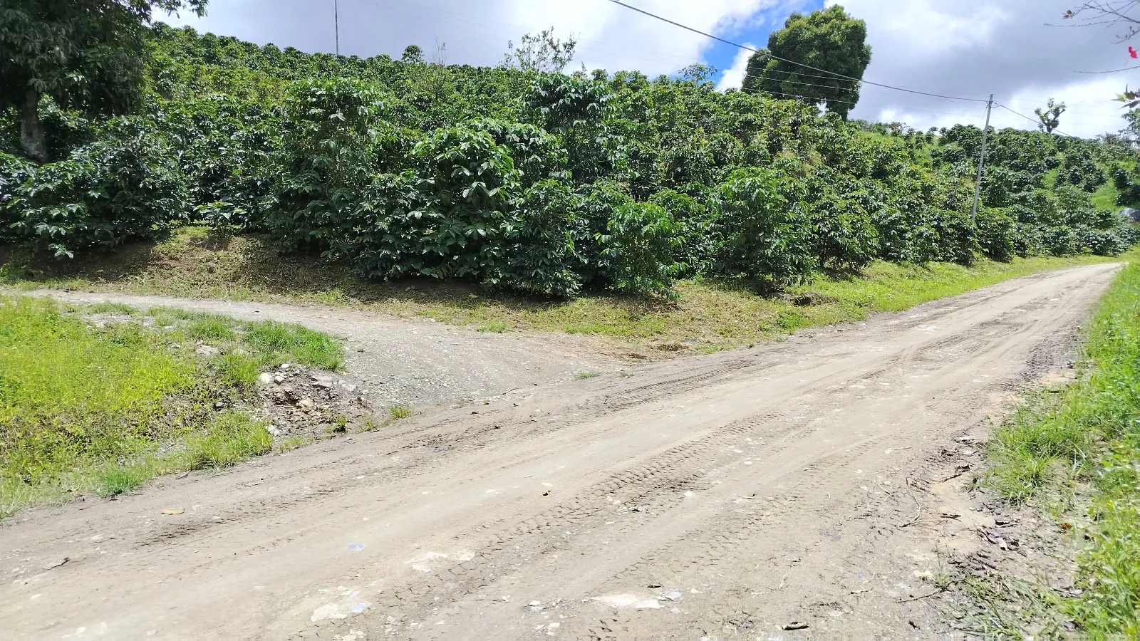 El Edén