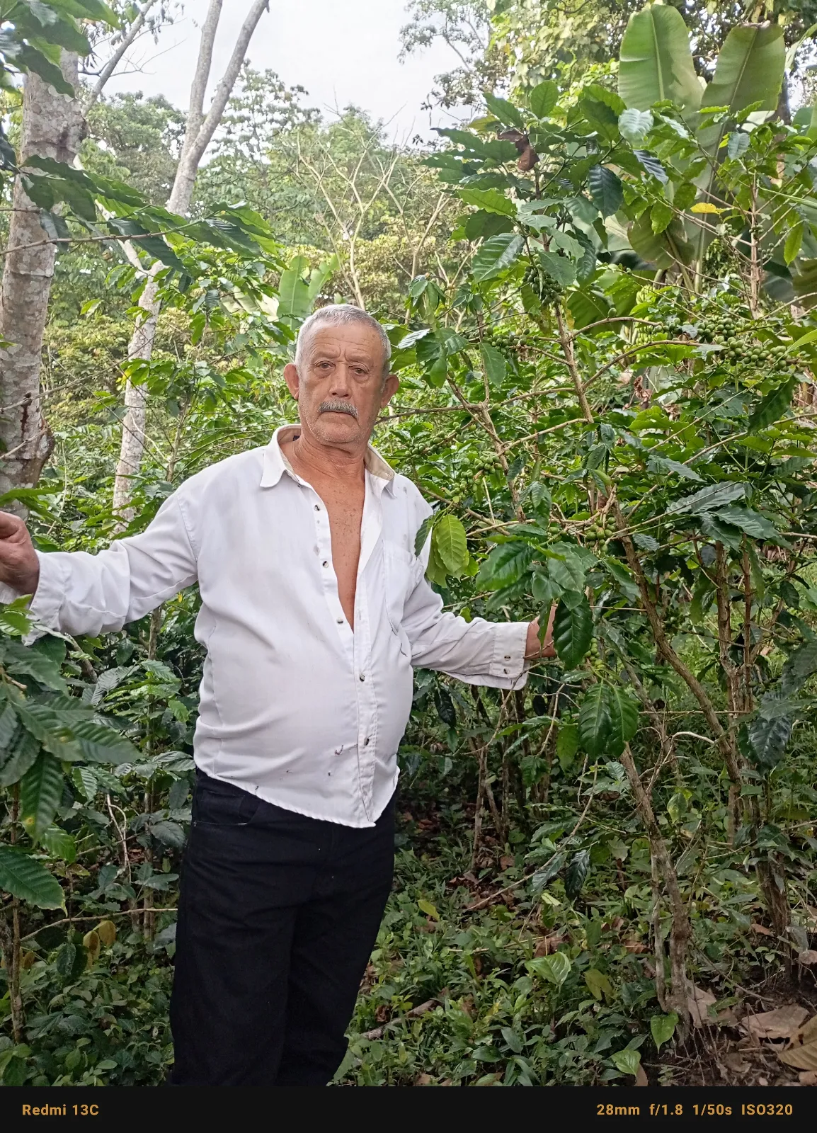 Ángel Linárez