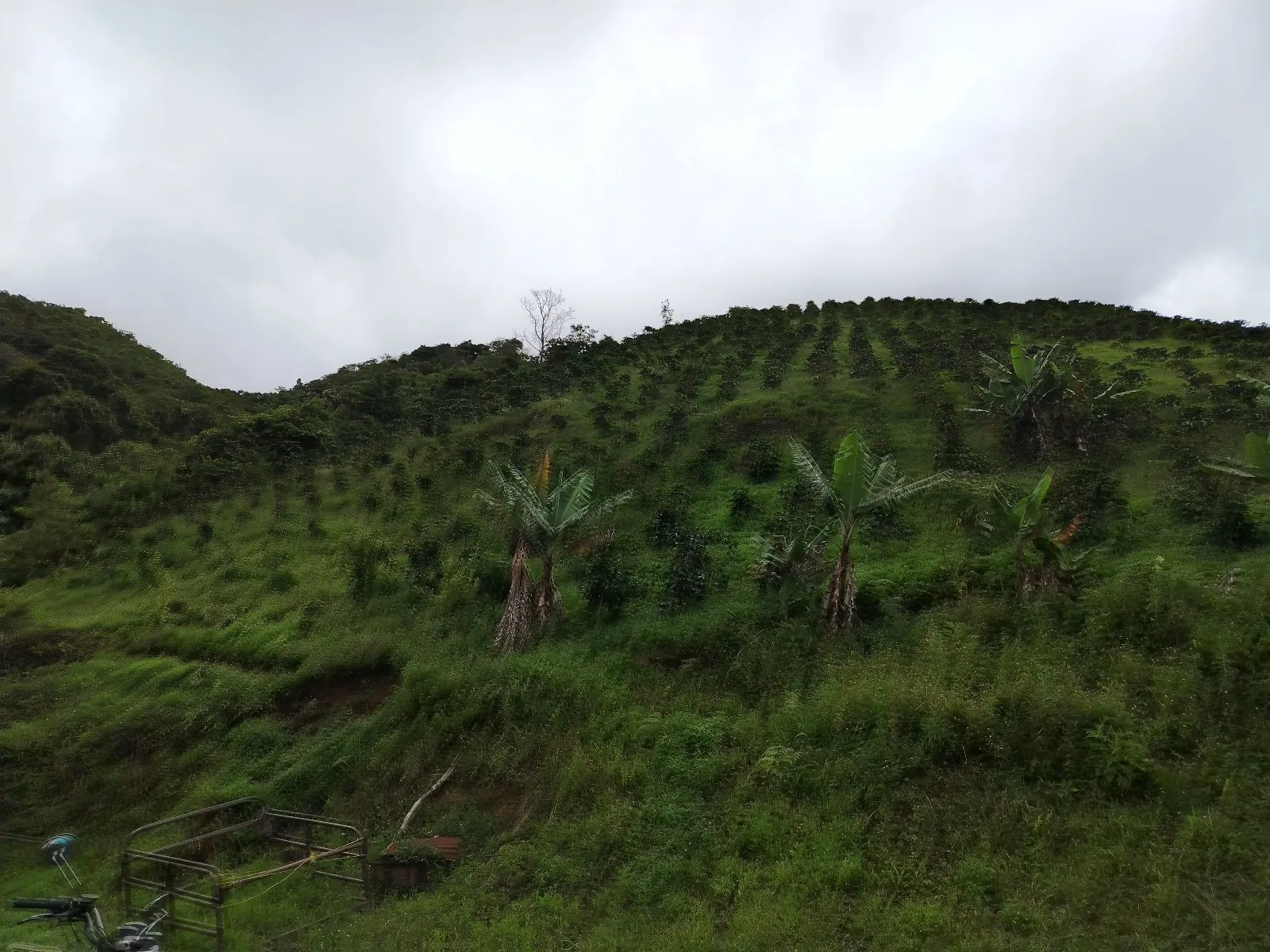 Paraíso