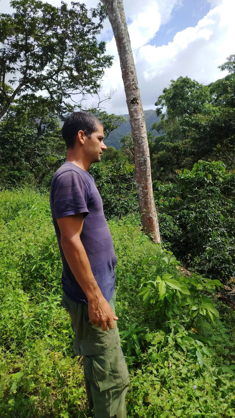 Richard Colmenarez