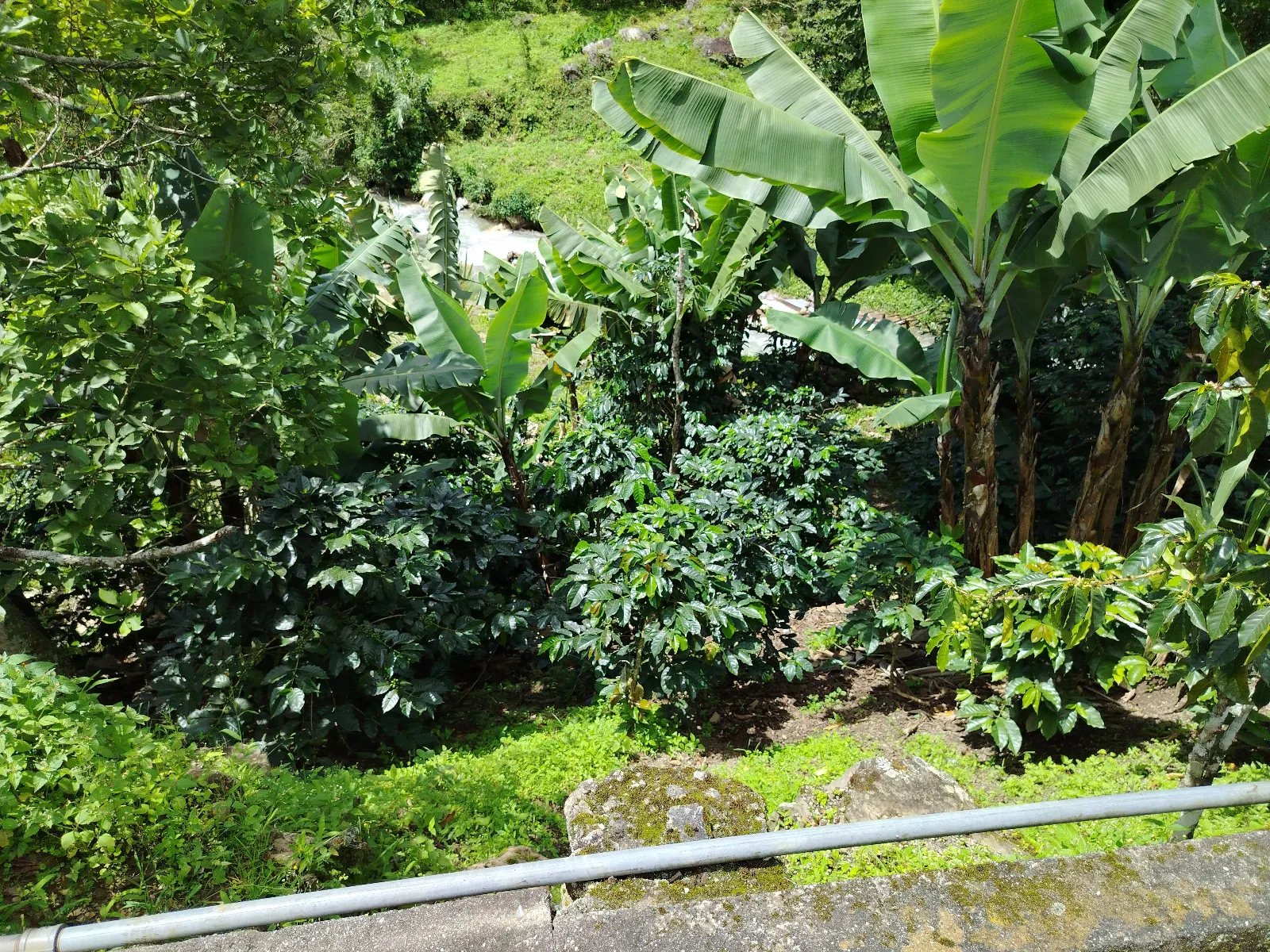 Los malabares