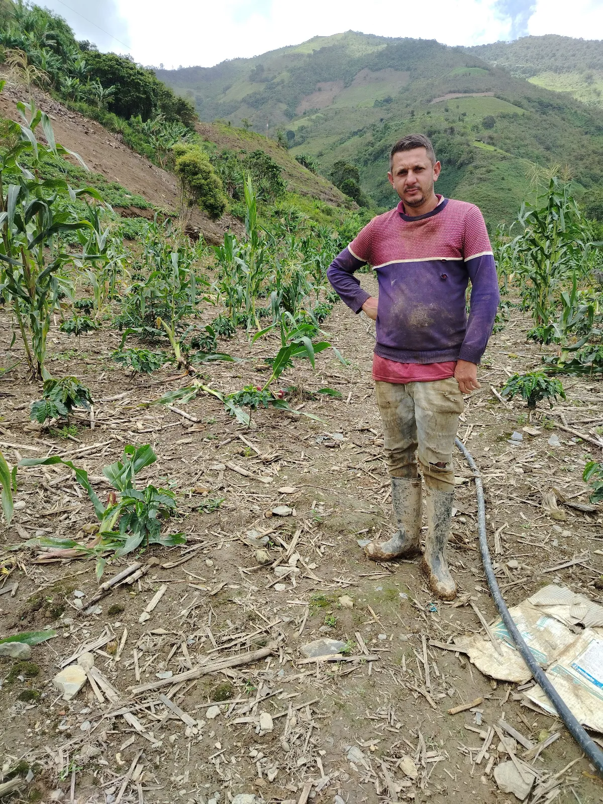 El rincón