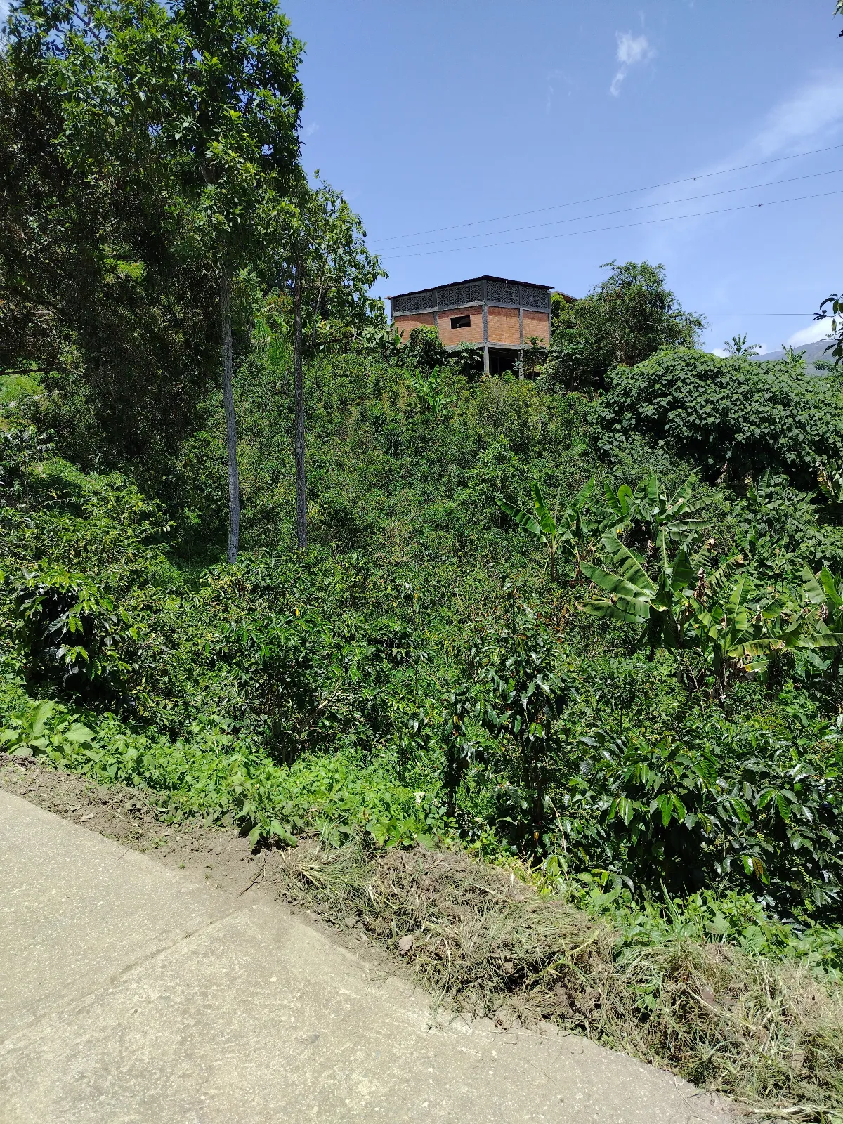 Finca San Miguel