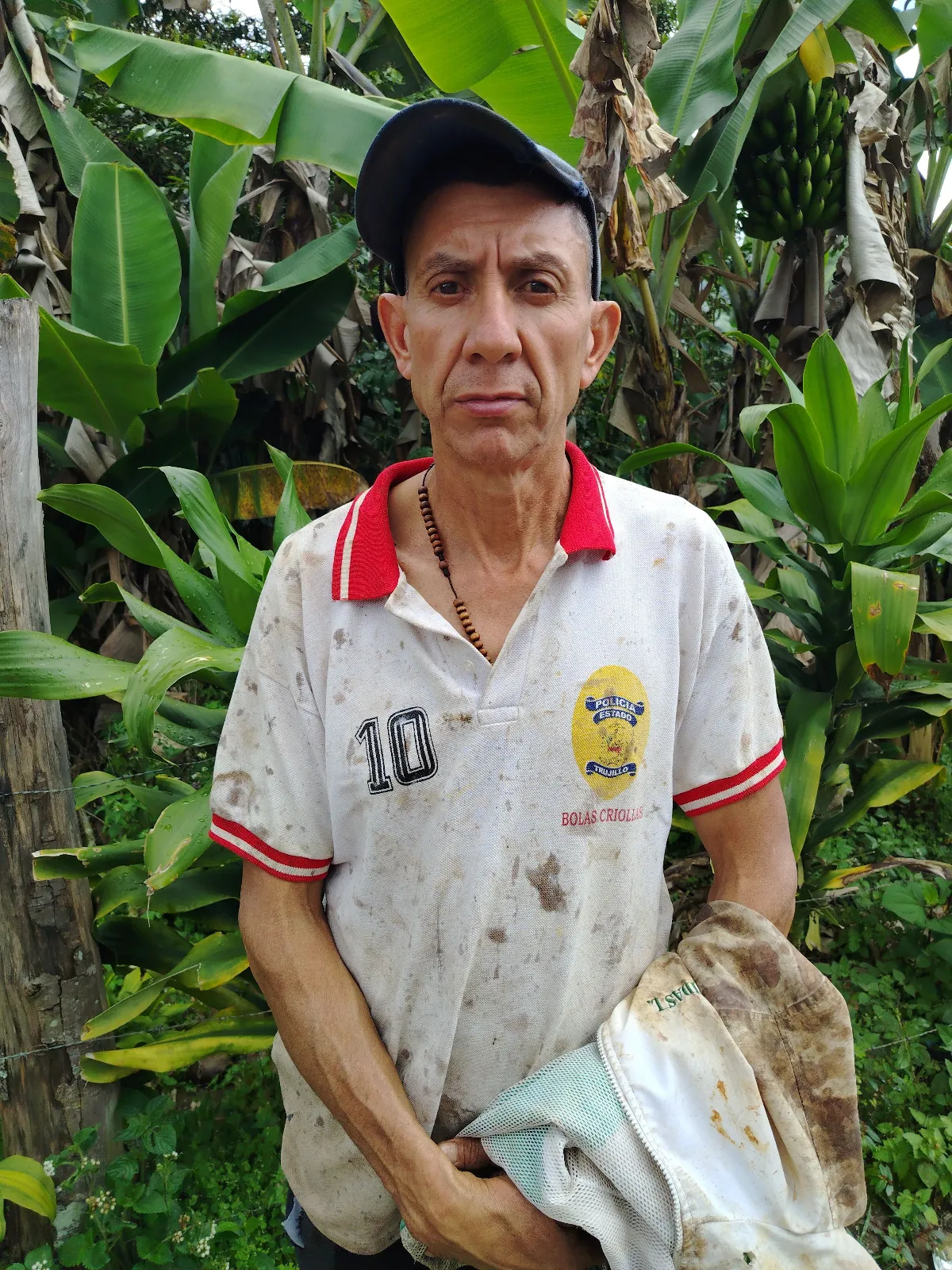 Elíseo quevedo