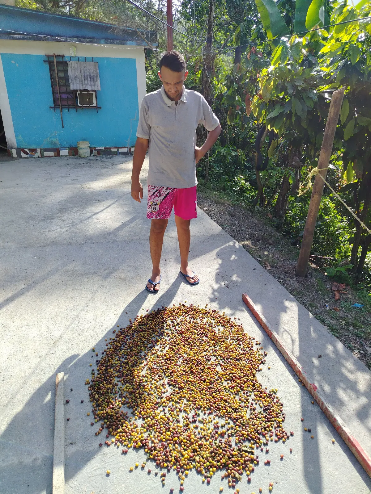José seron