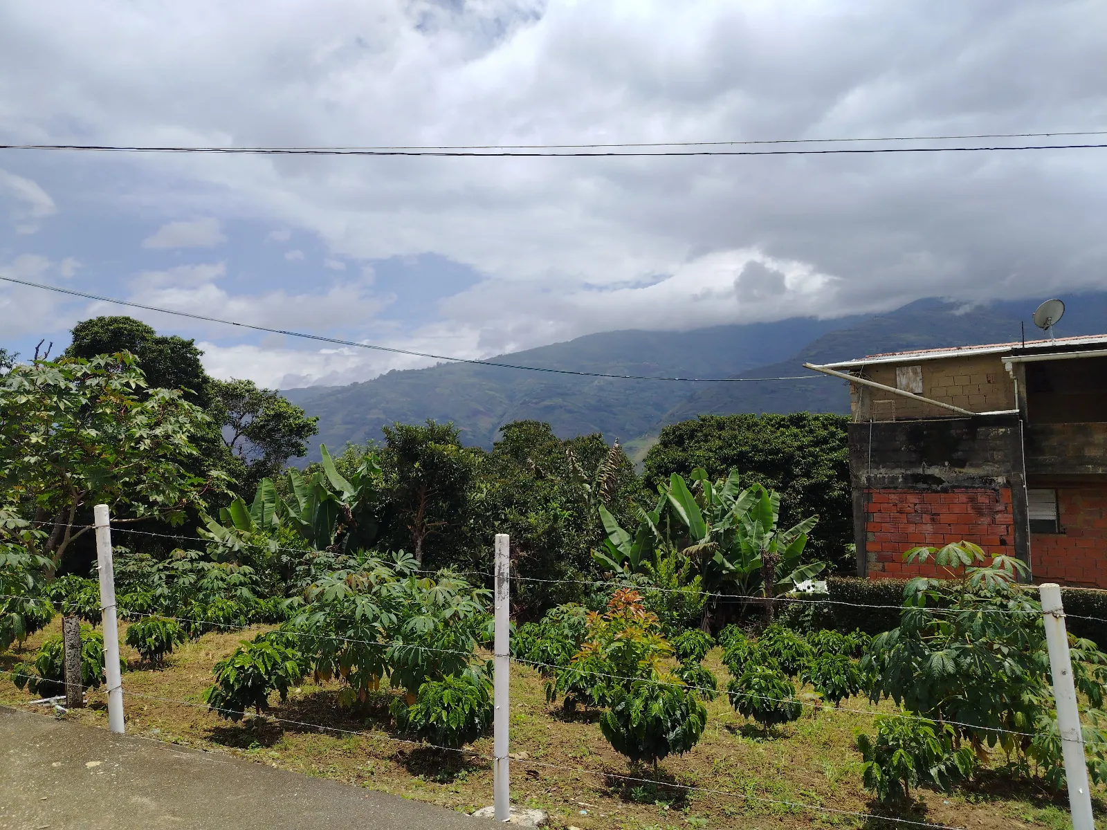 Finca inversiones el pajarito