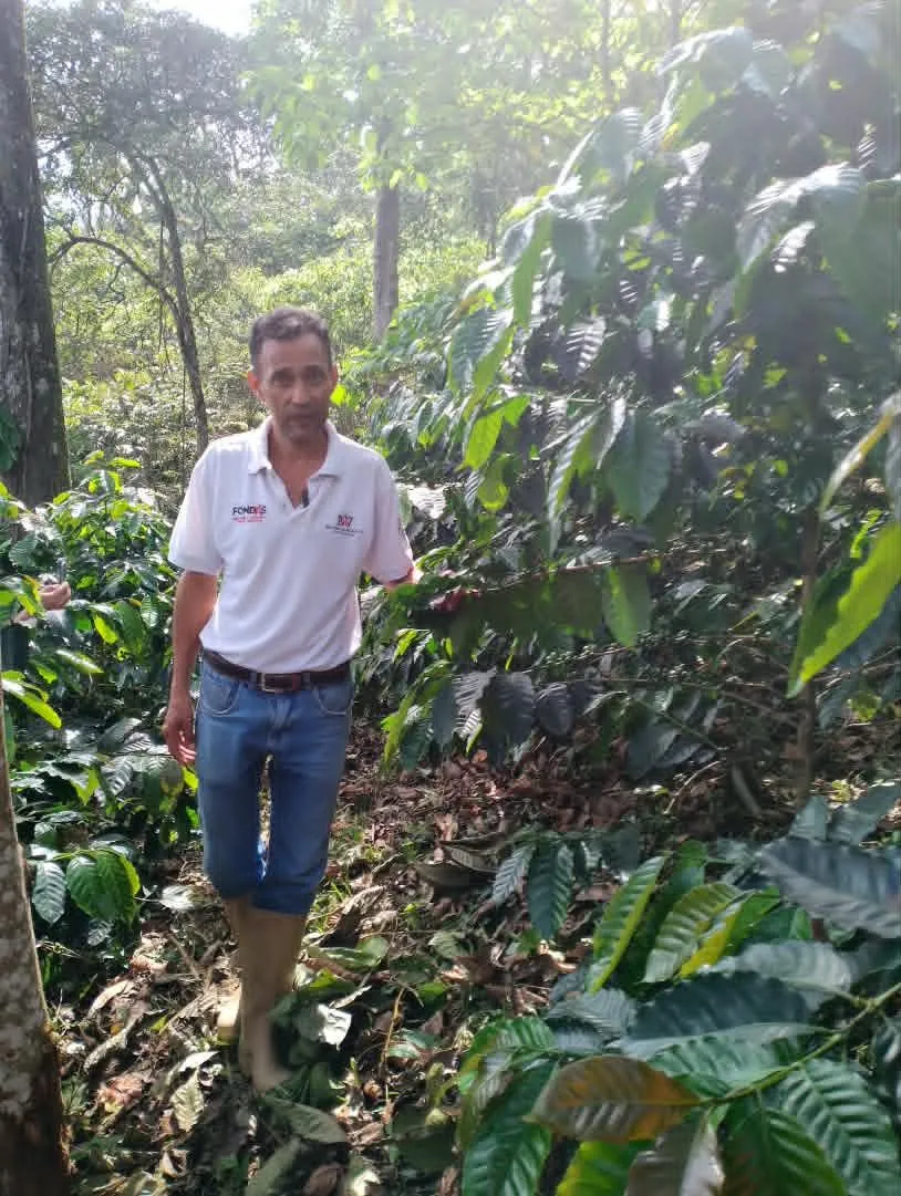 Rafael Hernández