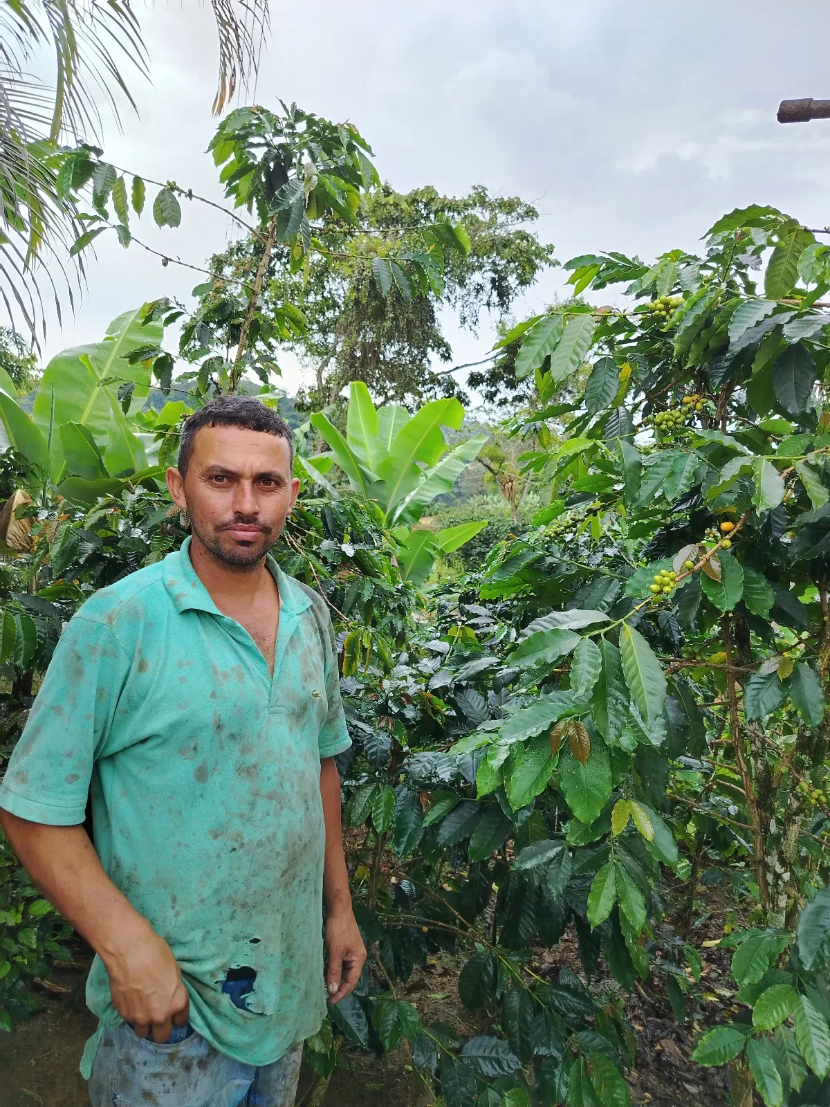 Nestor Montilla