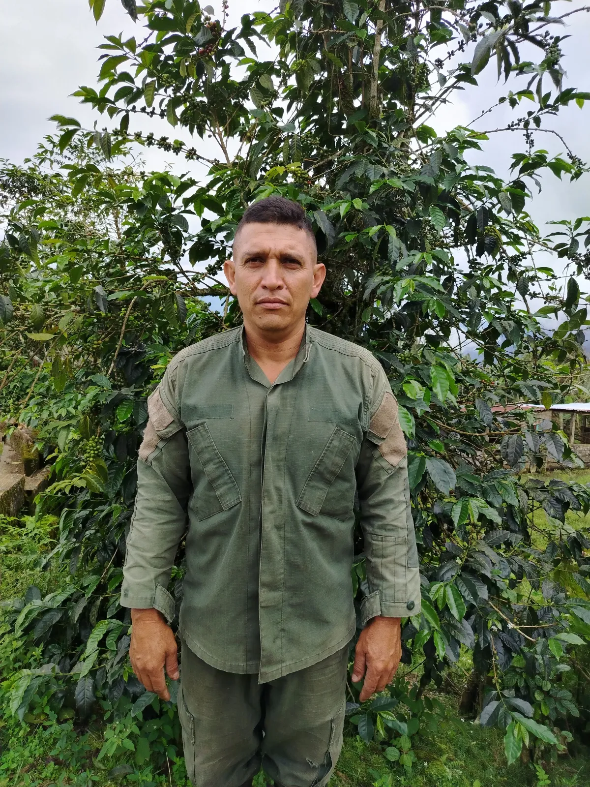 Carlos rojas