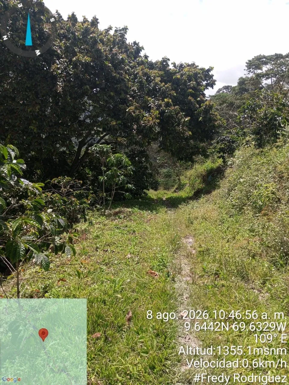 La Bartolera