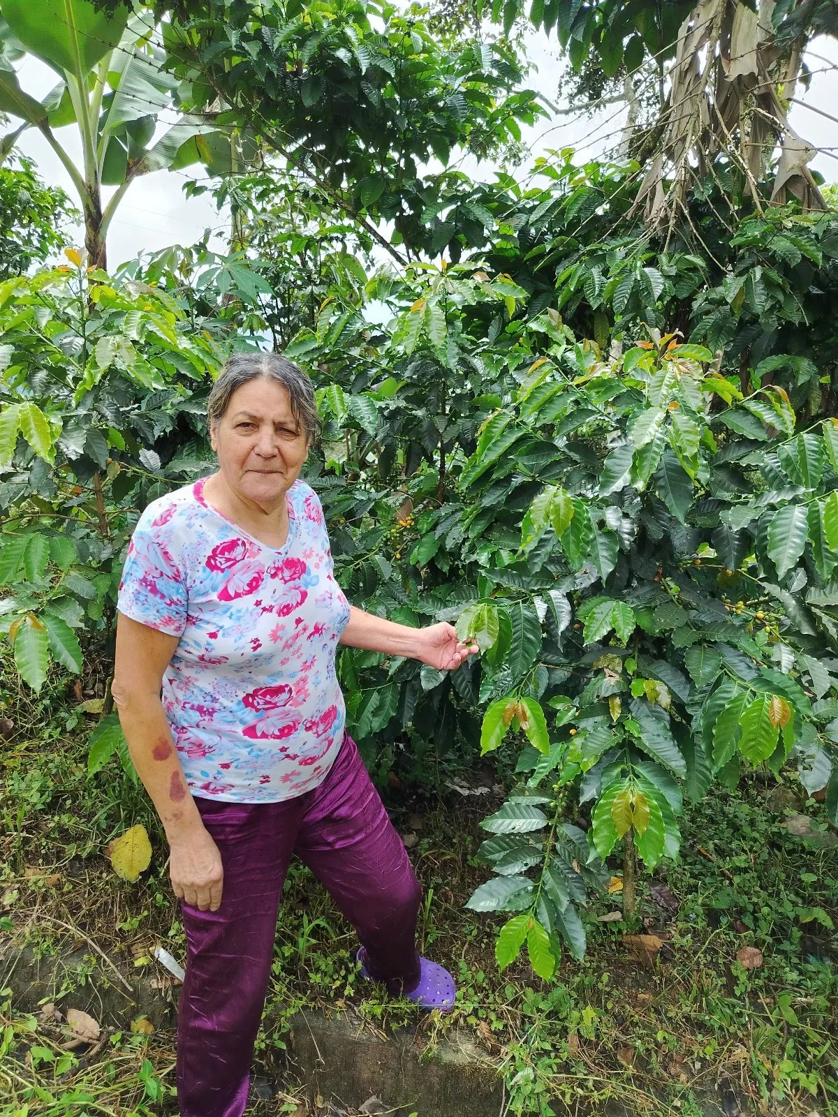 María Adriana Mejía de carrillo