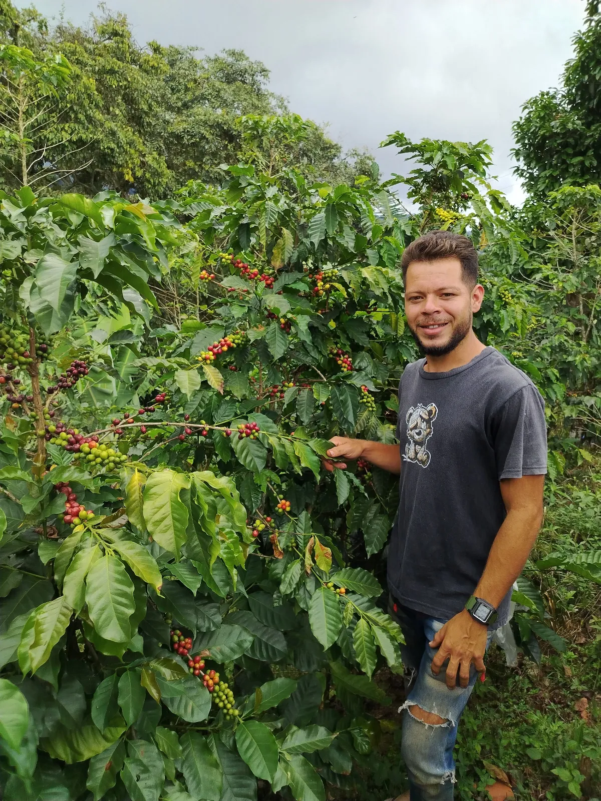 Joel Algomeda