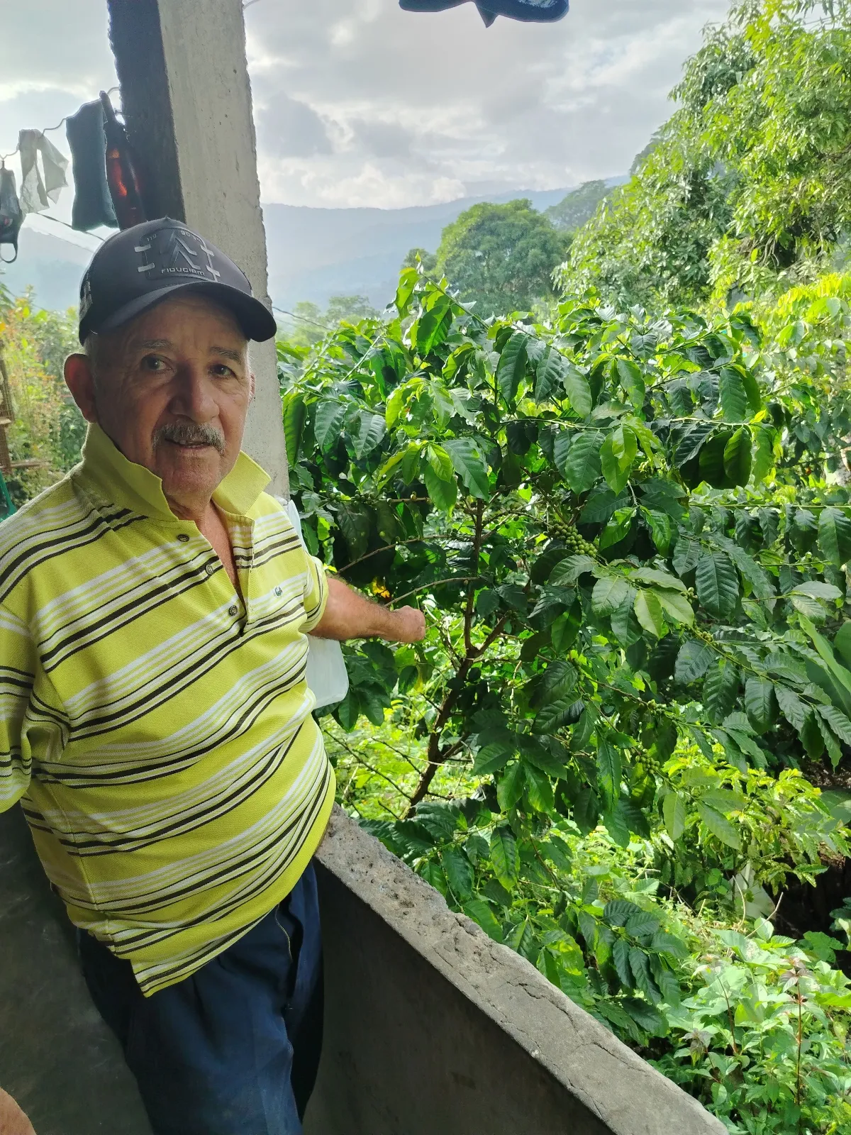 Alfredo Fernández