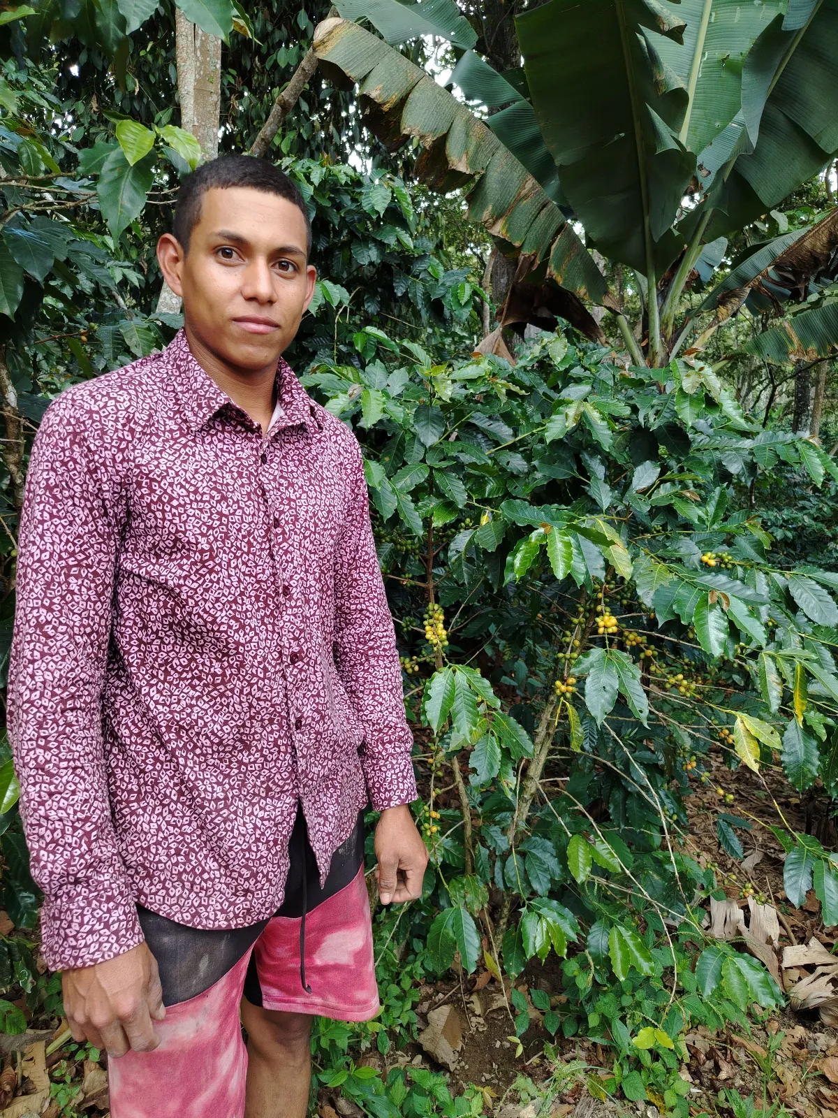 Jeison Algomeda