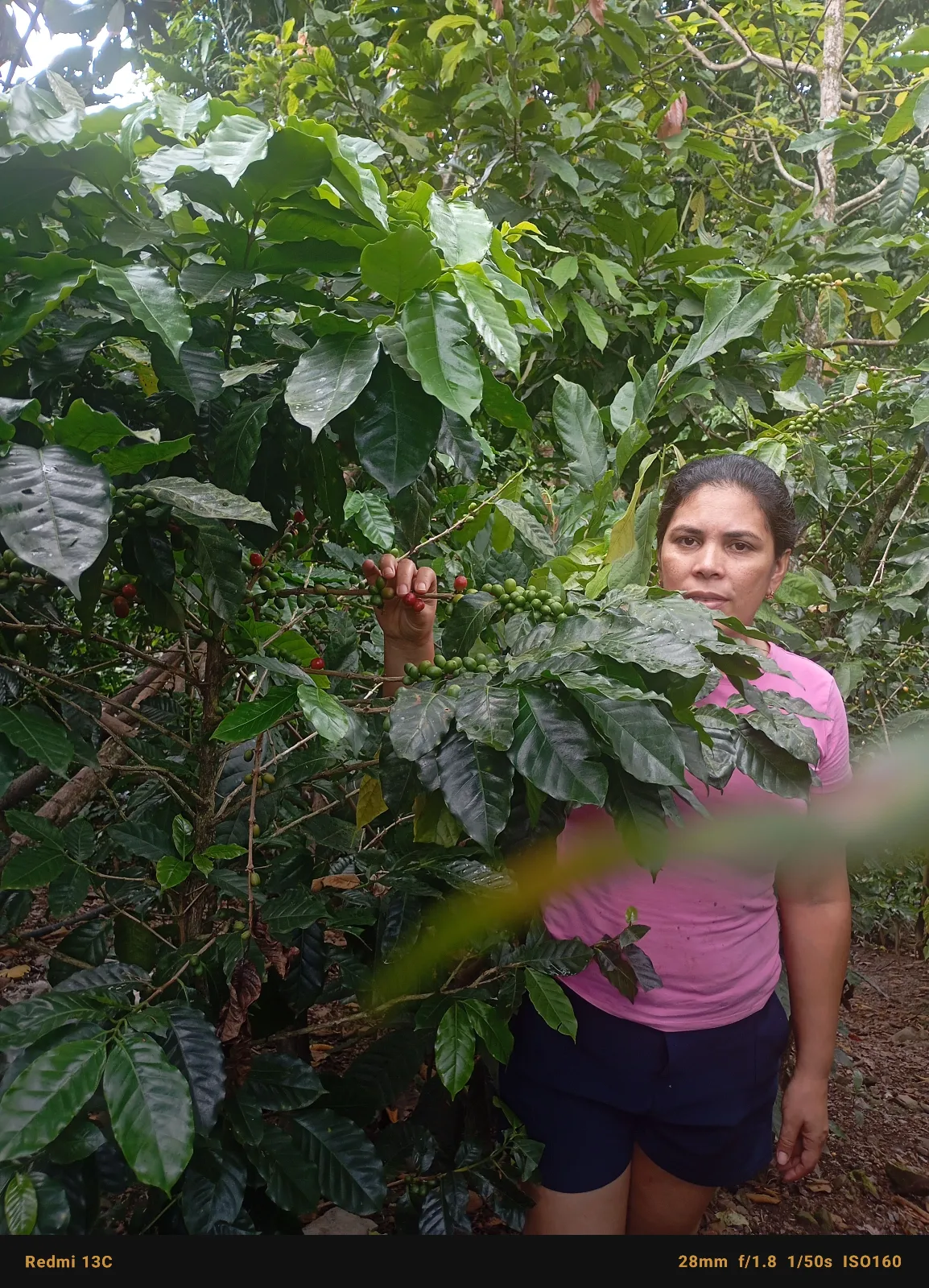Rosmary Jaramillo