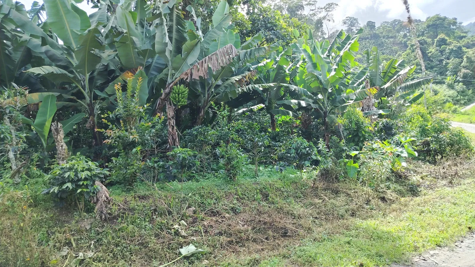 La en cruzijada