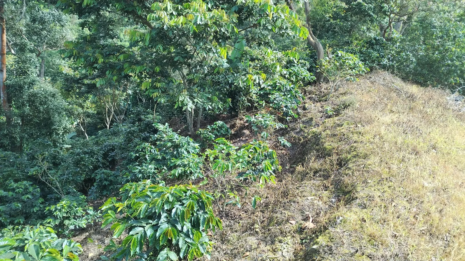 La trinidad 3