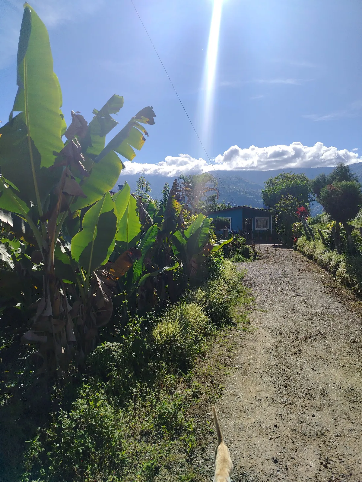 San Isidro