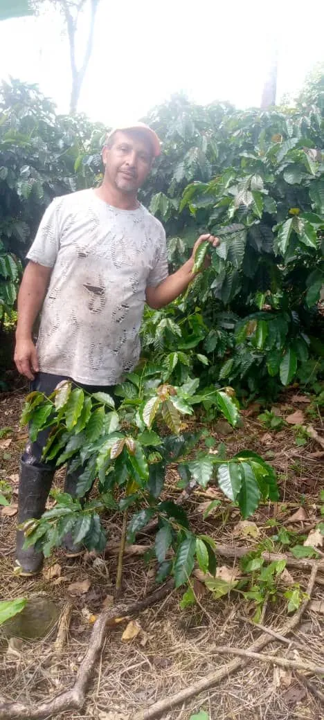 Elio López
