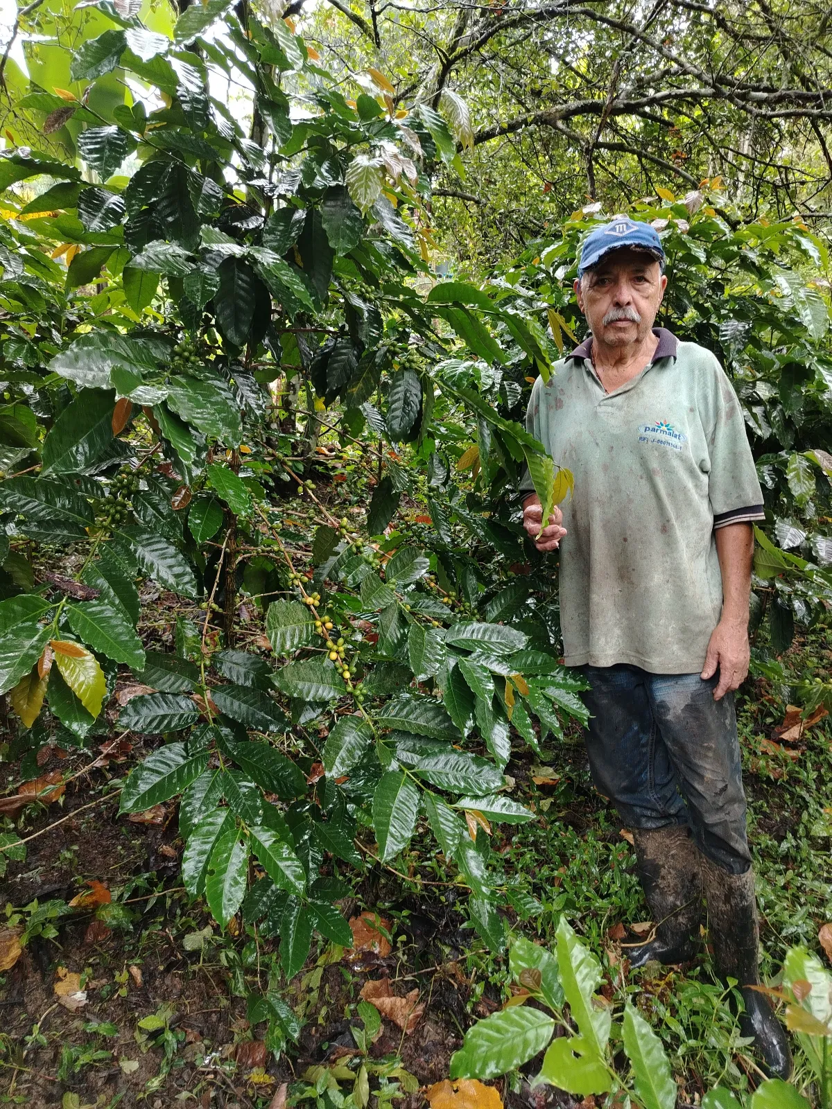 Emerió Briceño