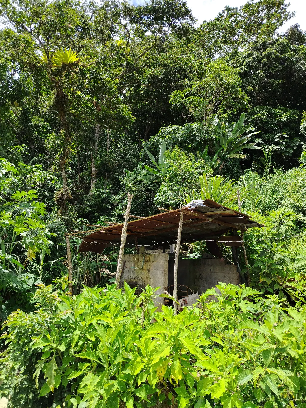 Finca San Isidro el tendal