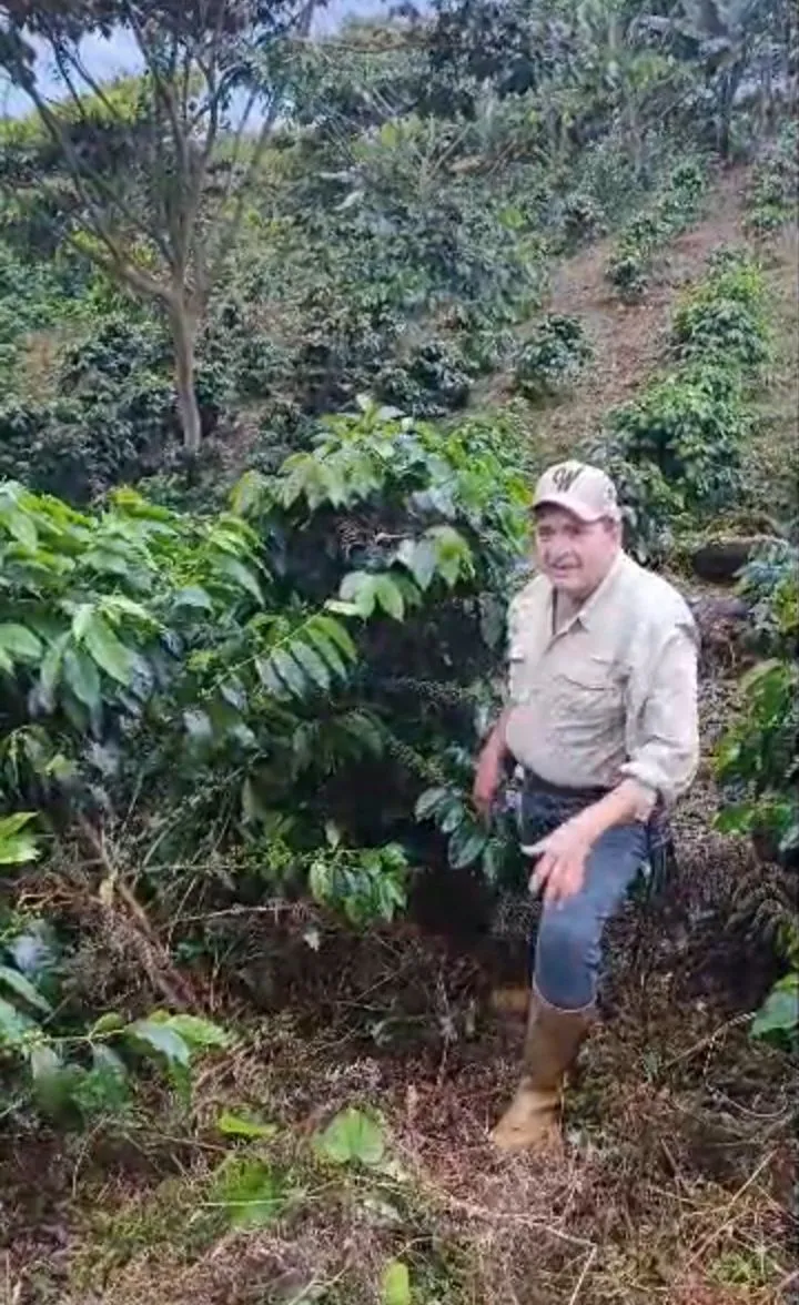 Alfredo Mendoza