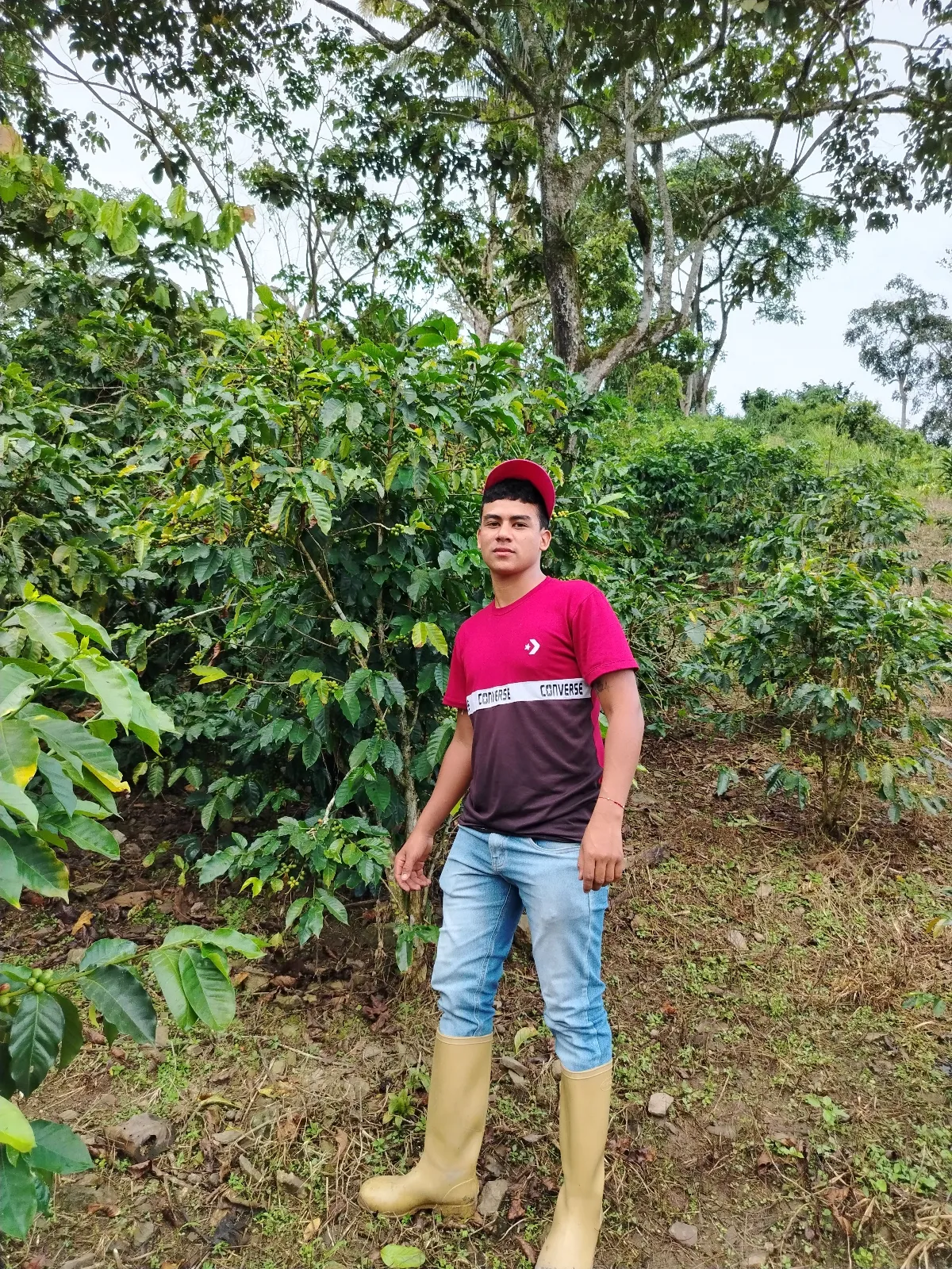 Yohander Azuaje