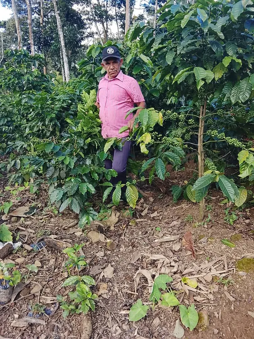 Rafael Arraez