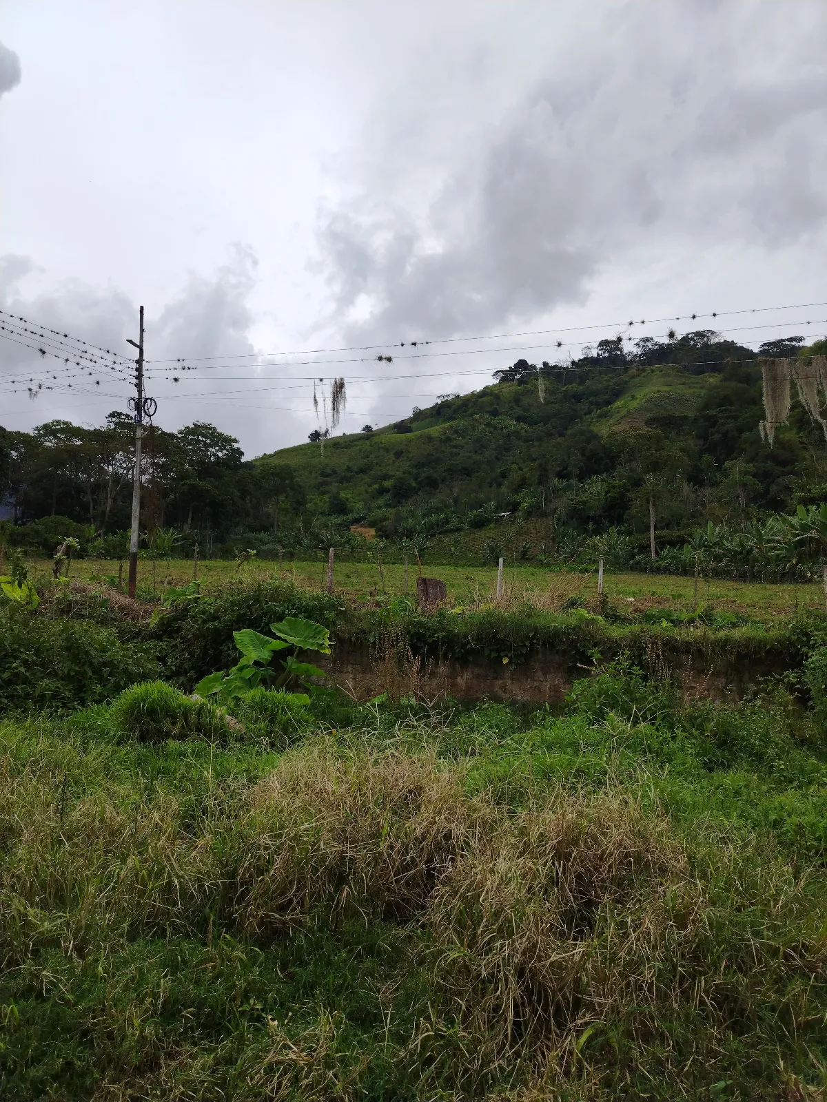 Finca el Pedregal
