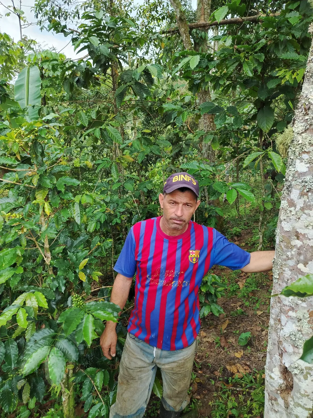 José benjamín quintero