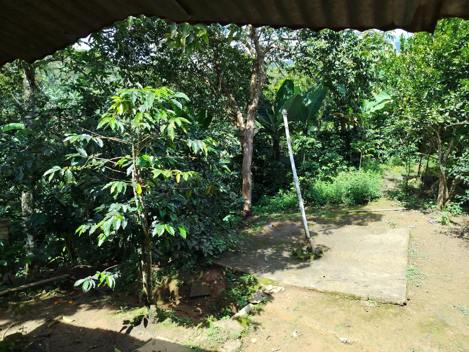 Finca mi esperanza