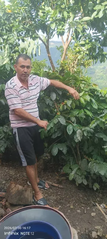 Wilmer Montilla