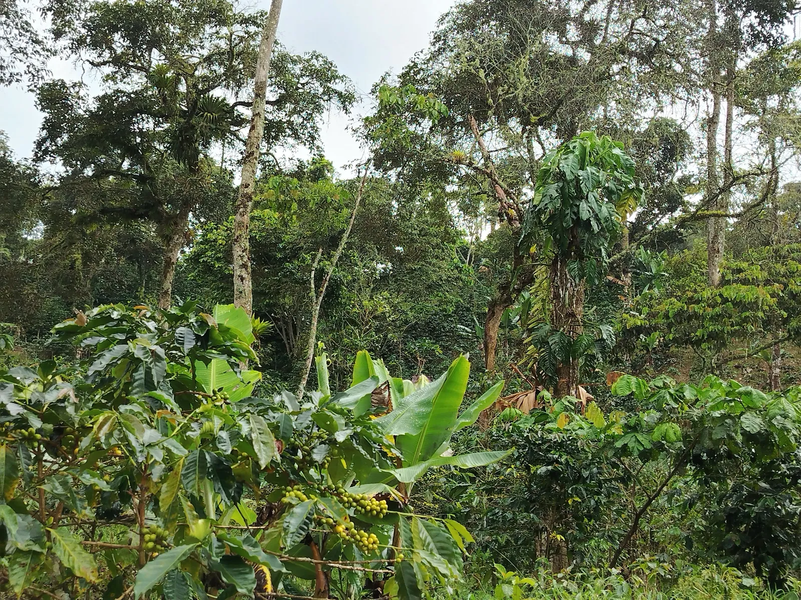 La misa