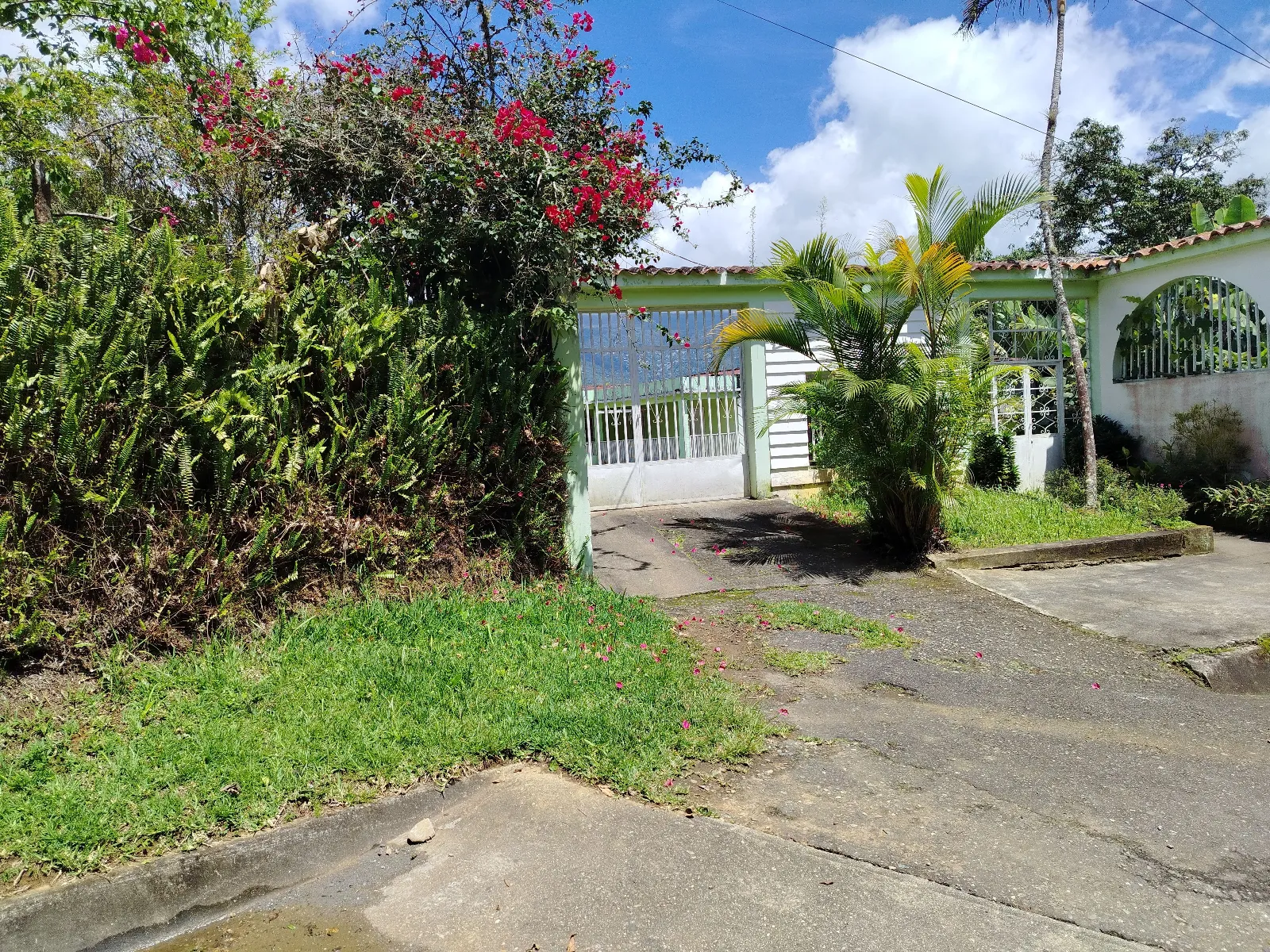 Finca San Antonio 3