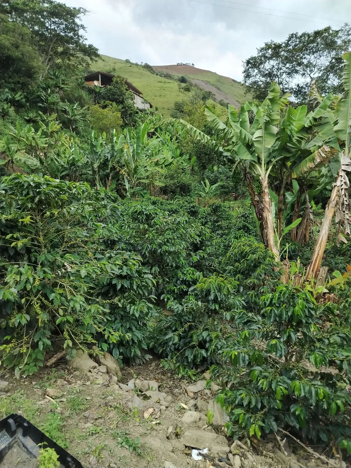 Las casitas