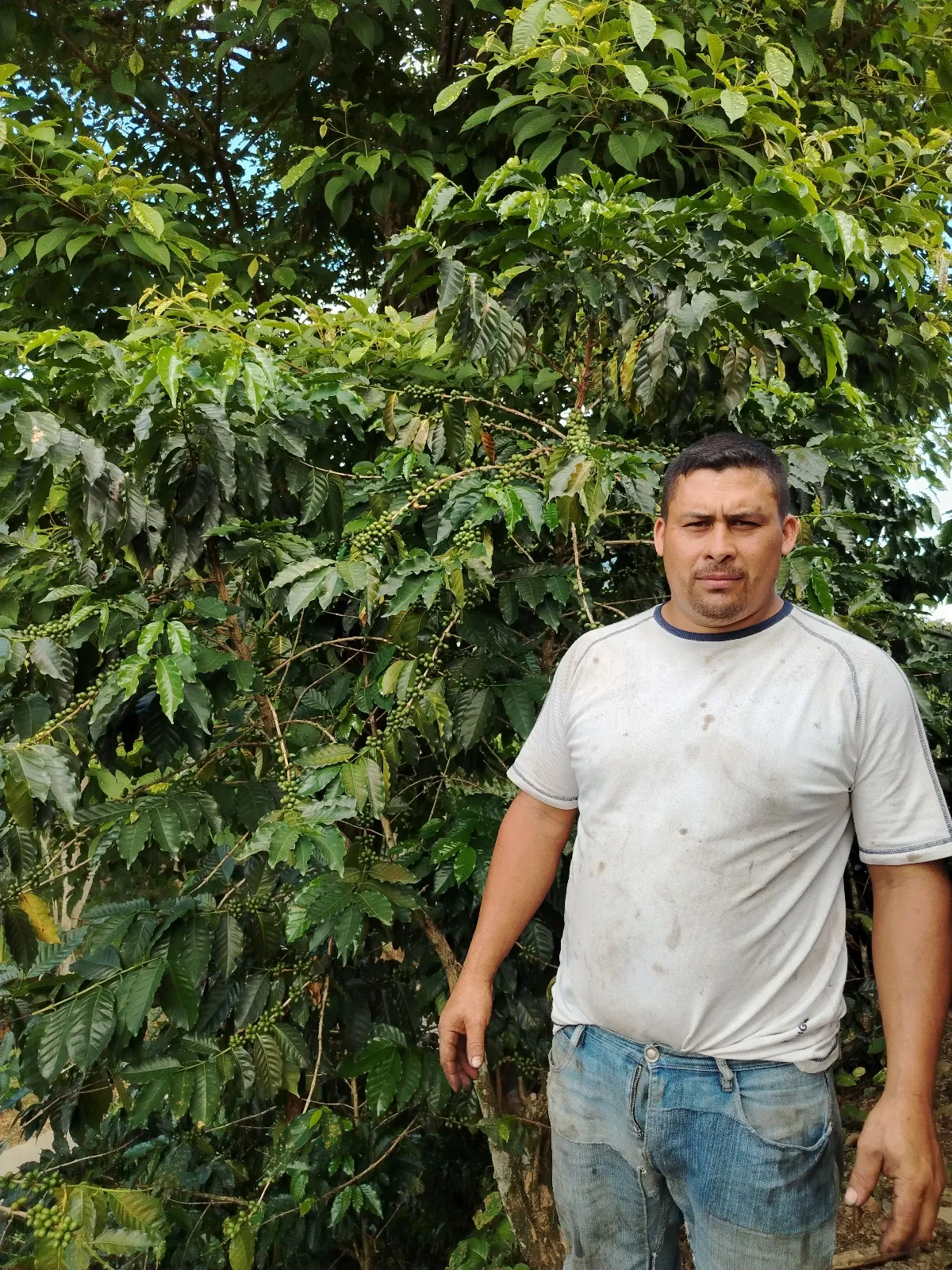 Luis Alberto Rivas