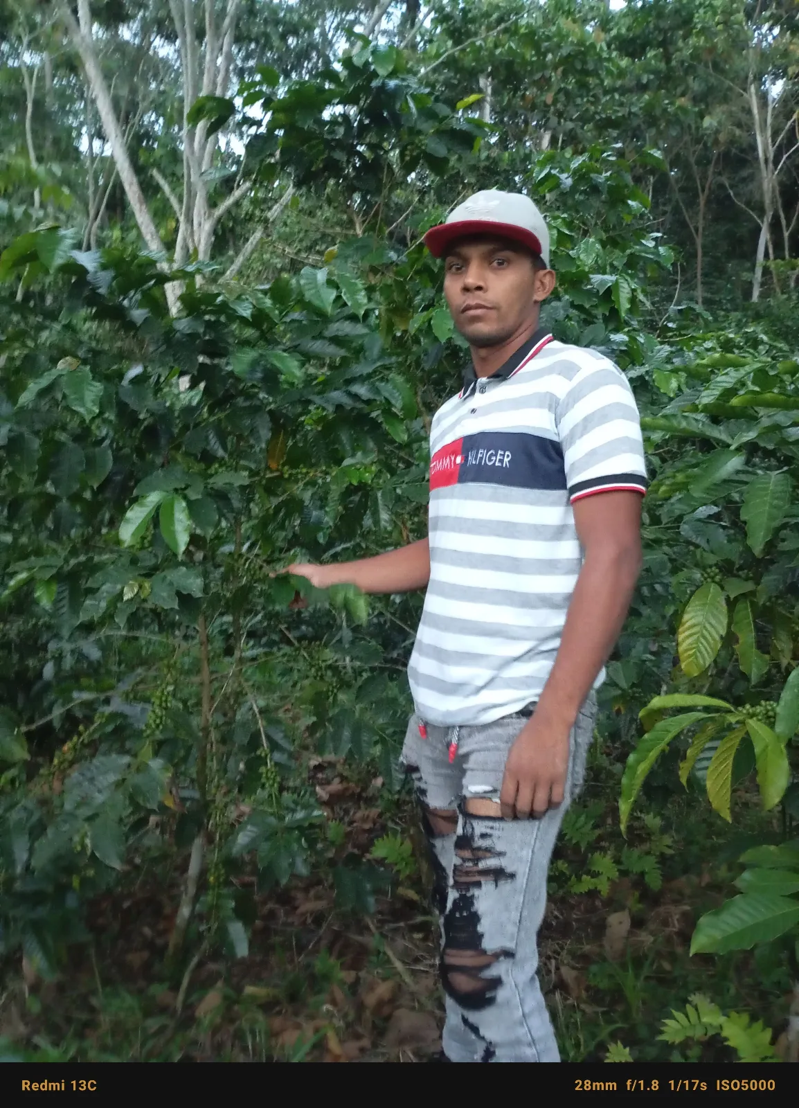 Heriberth Linares