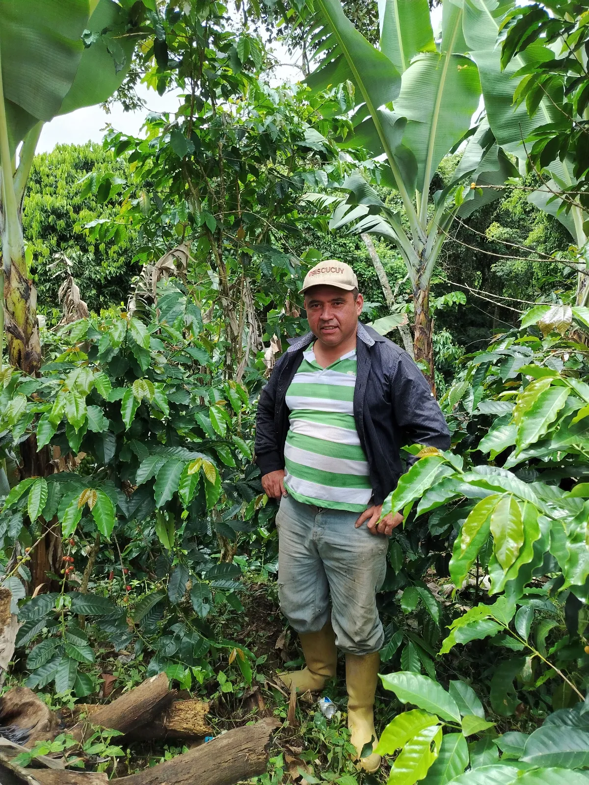 Juan carillo