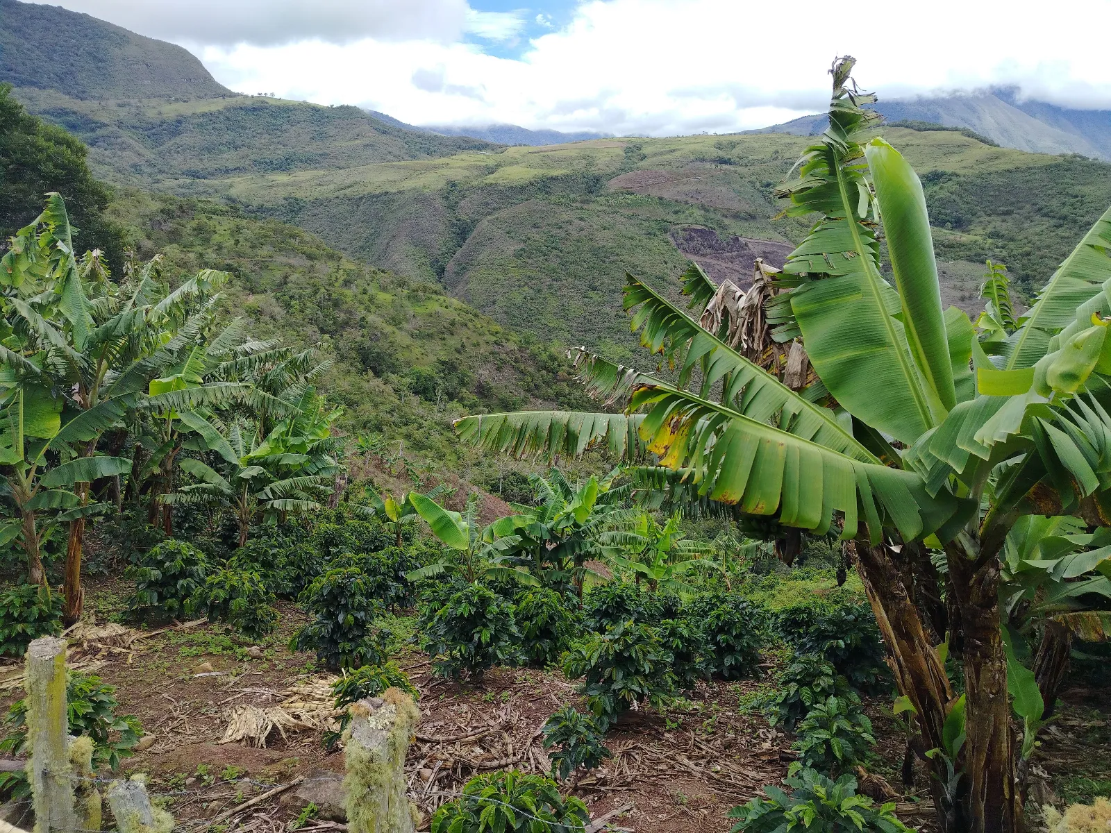 Loma de Benito