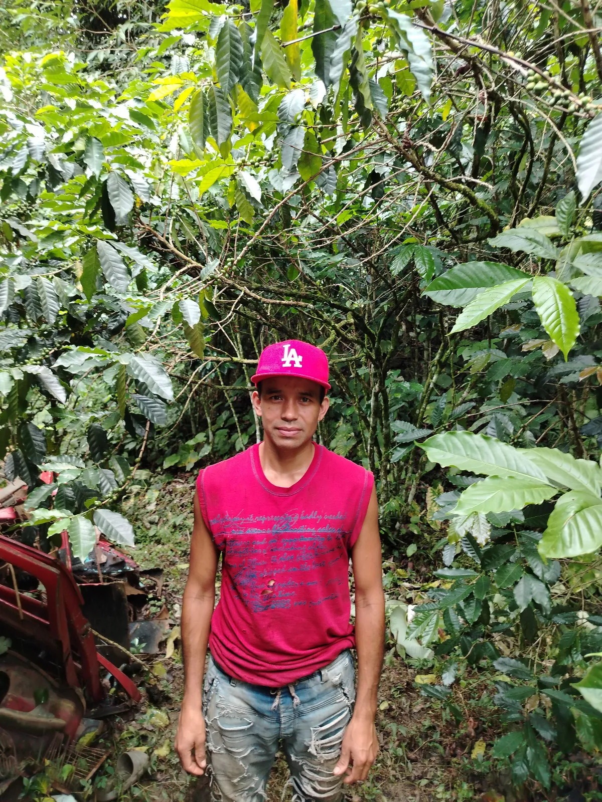 Osniel Montilla