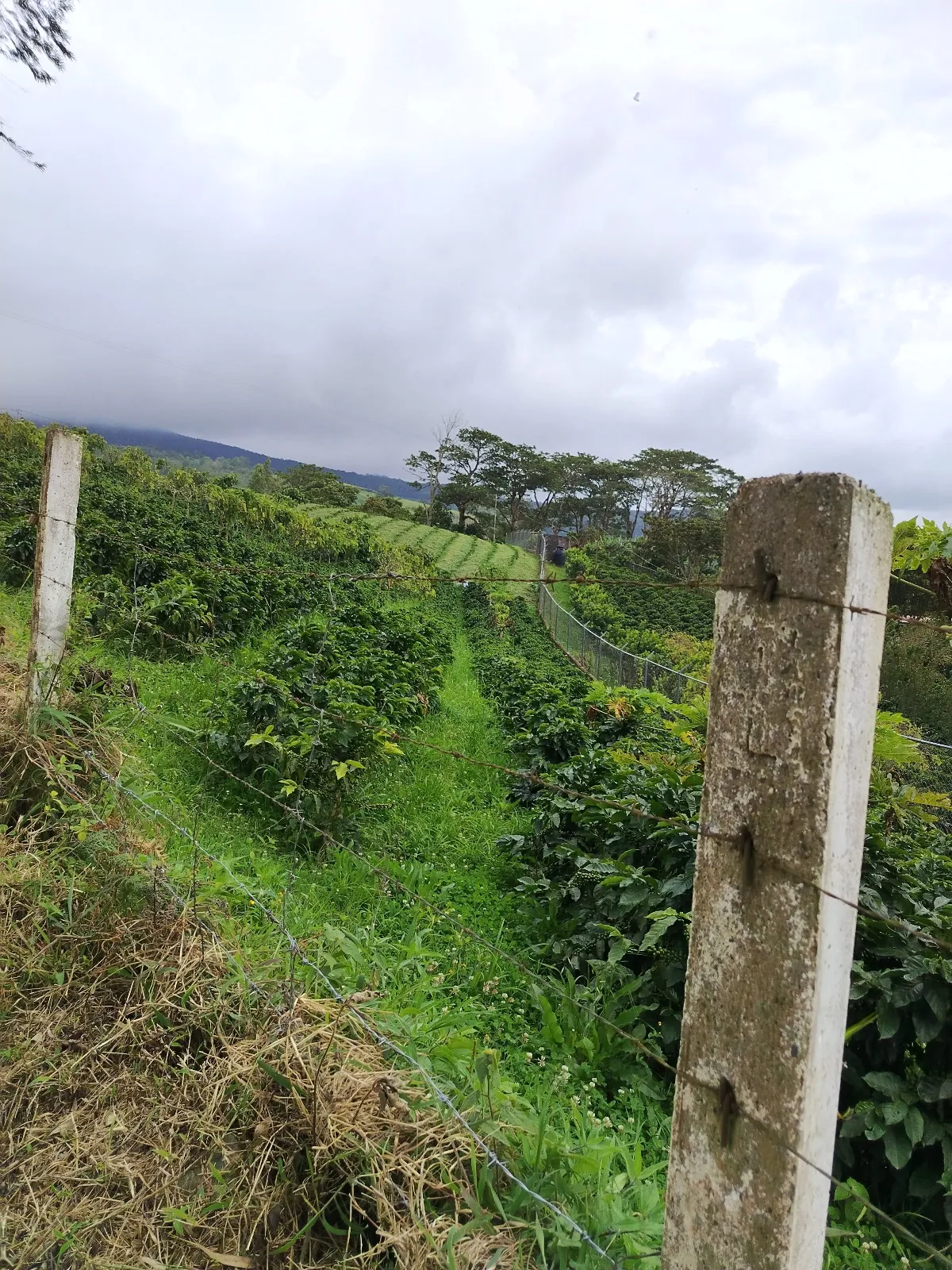 La Escapada