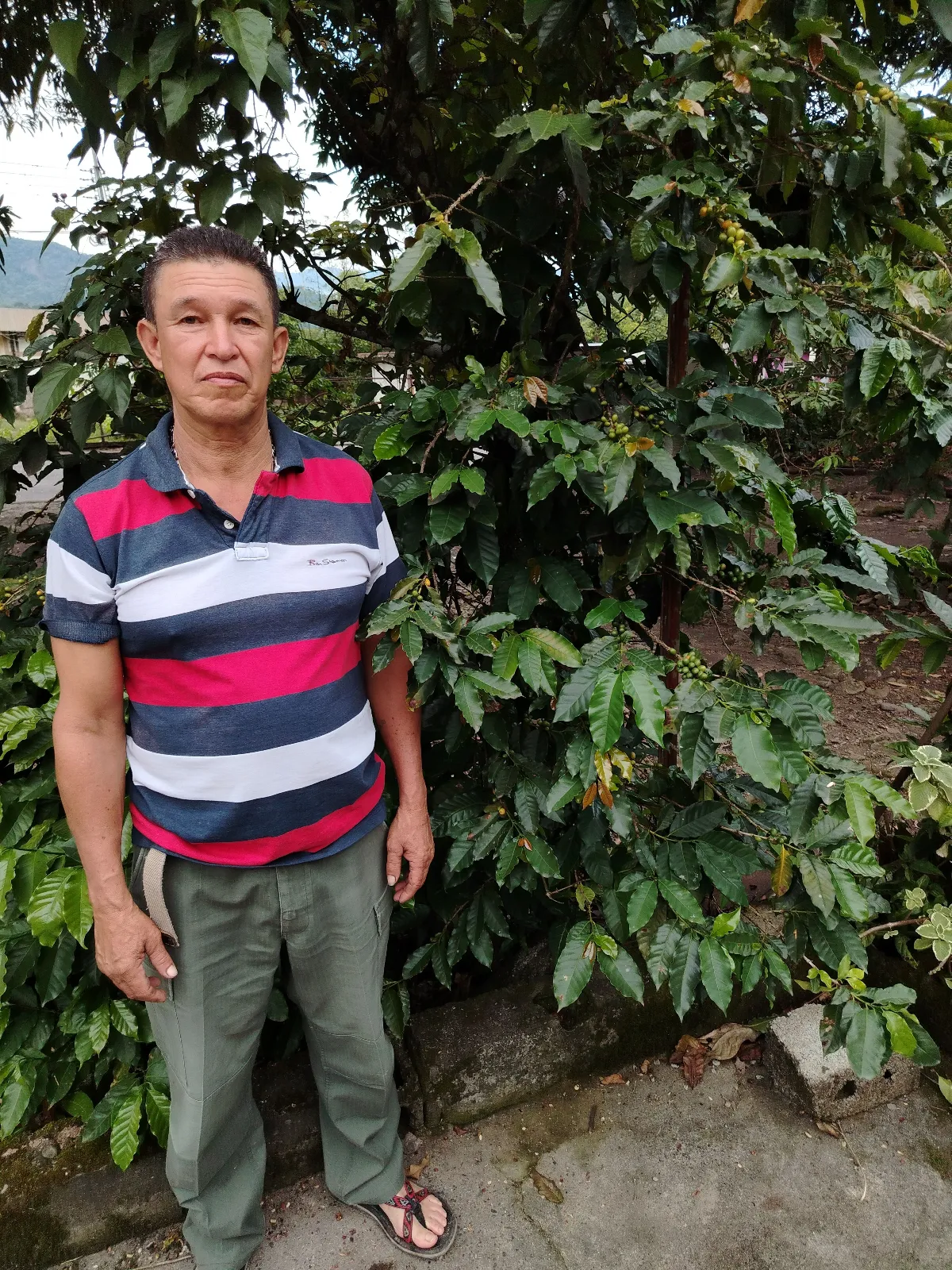 Alcides Betancourt